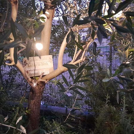 Casita Esperanza Apartment Copparo Bagian luar foto