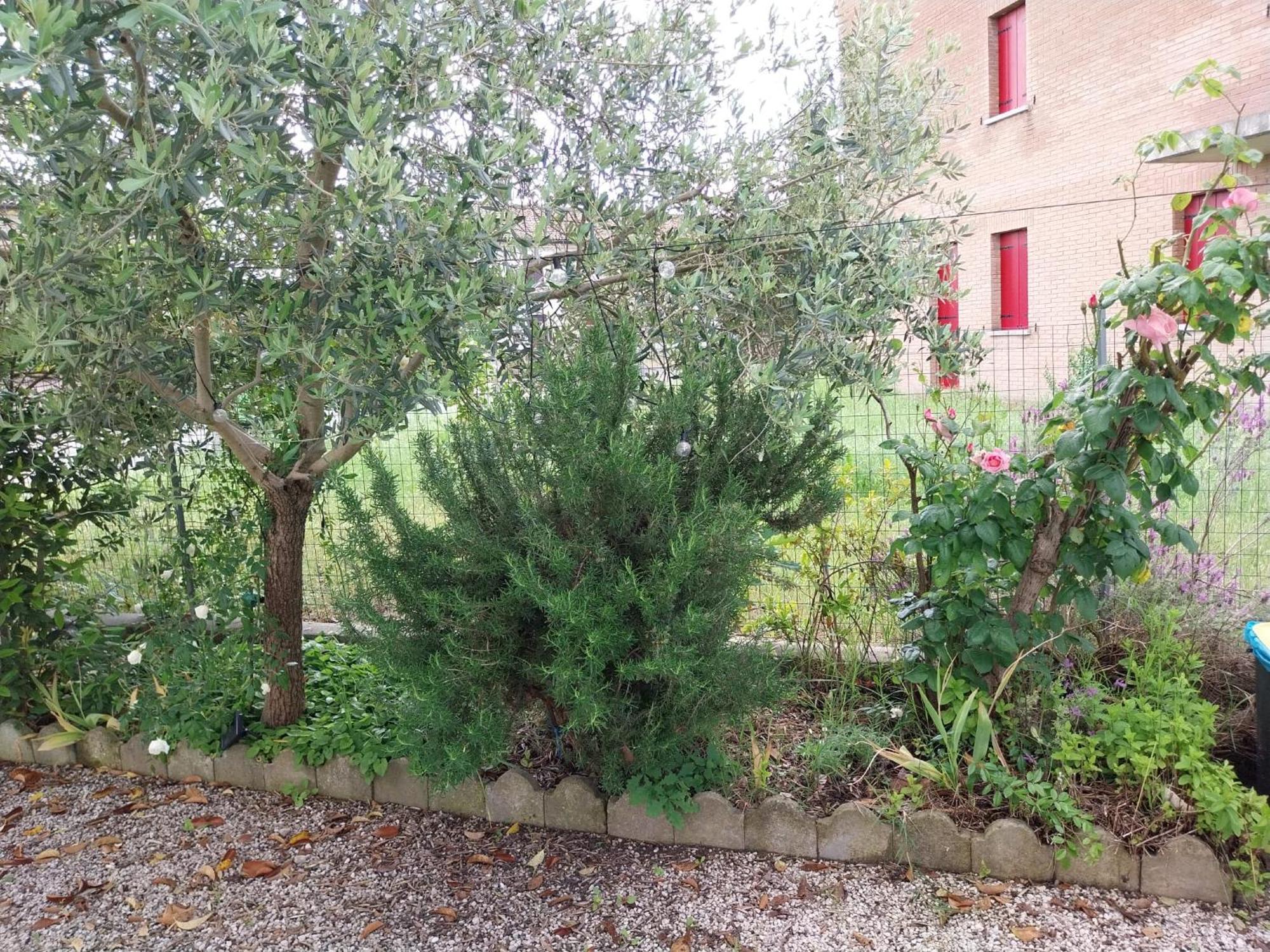 Casita Esperanza Apartment Copparo Bagian luar foto