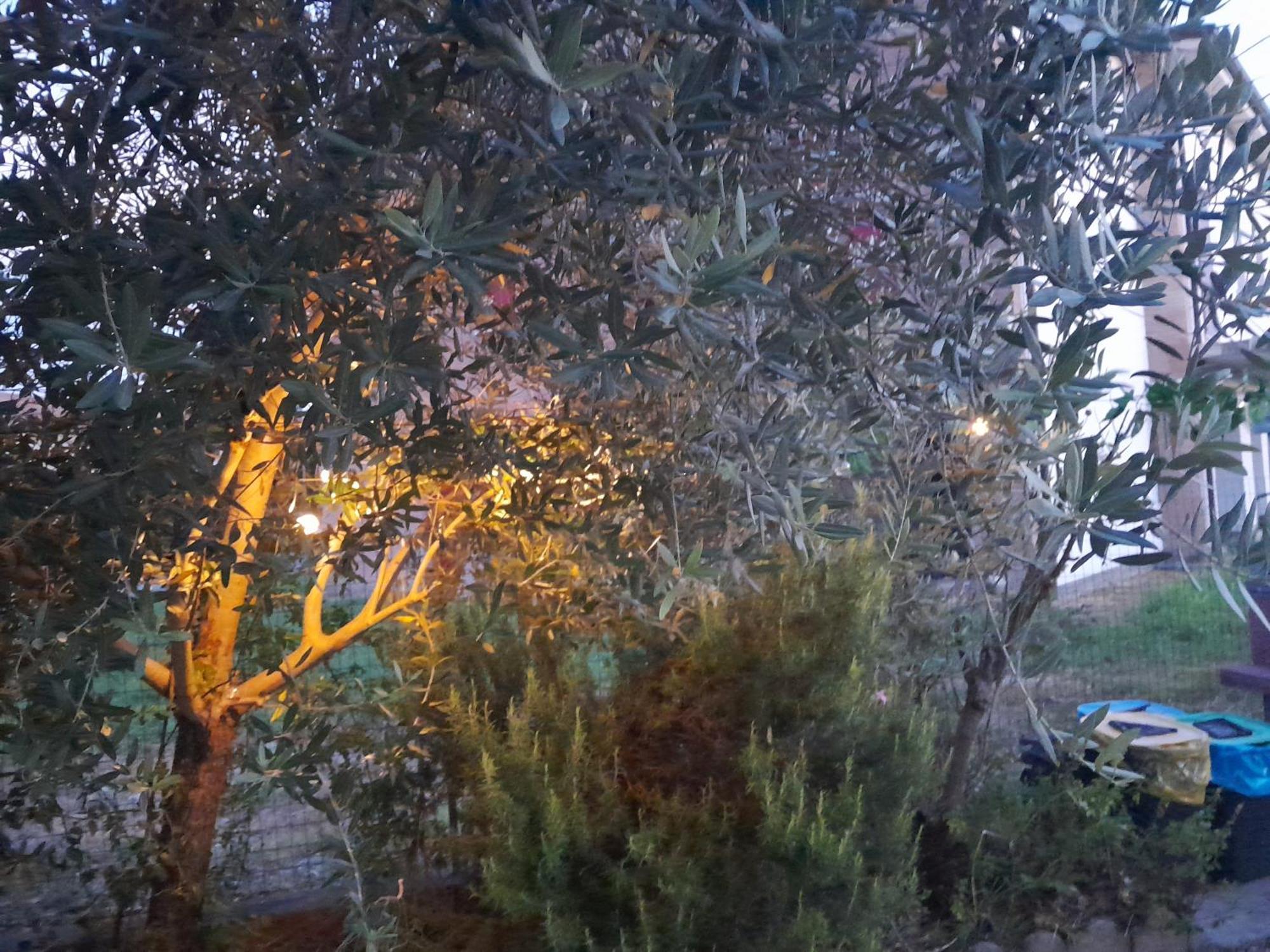 Casita Esperanza Apartment Copparo Bagian luar foto