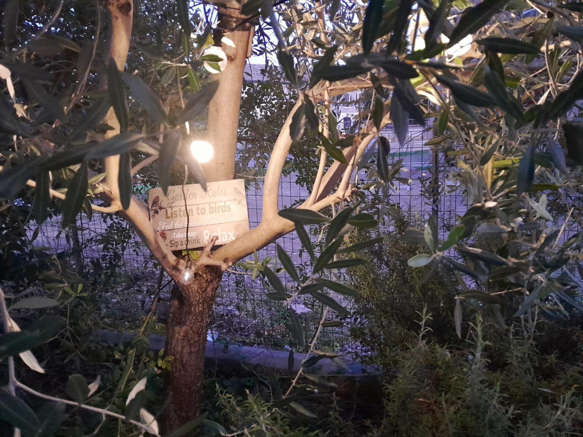 Casita Esperanza Apartment Copparo Bagian luar foto